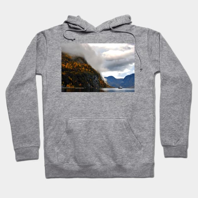 Aurlandsfjord Flam Norwegian Fjord Norway Hoodie by Andy Evans Photos